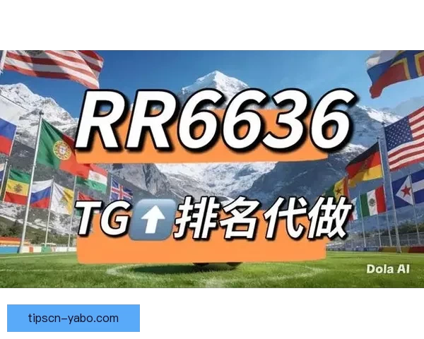 世界杯竞猜网站推荐与分析，精准预测助力您畅享赛事激情