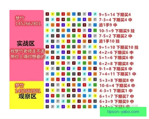 体育竞猜投注全攻略 提升胜率的秘诀与技巧分享