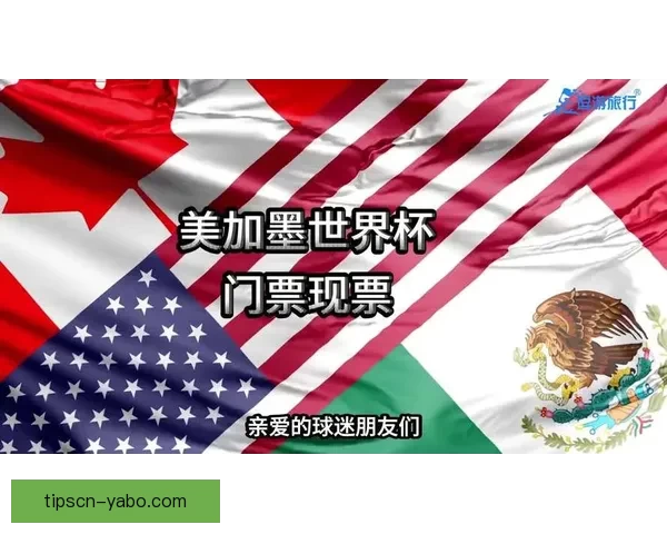 美加墨世界杯竞猜平台全面解析与热门玩法攻略